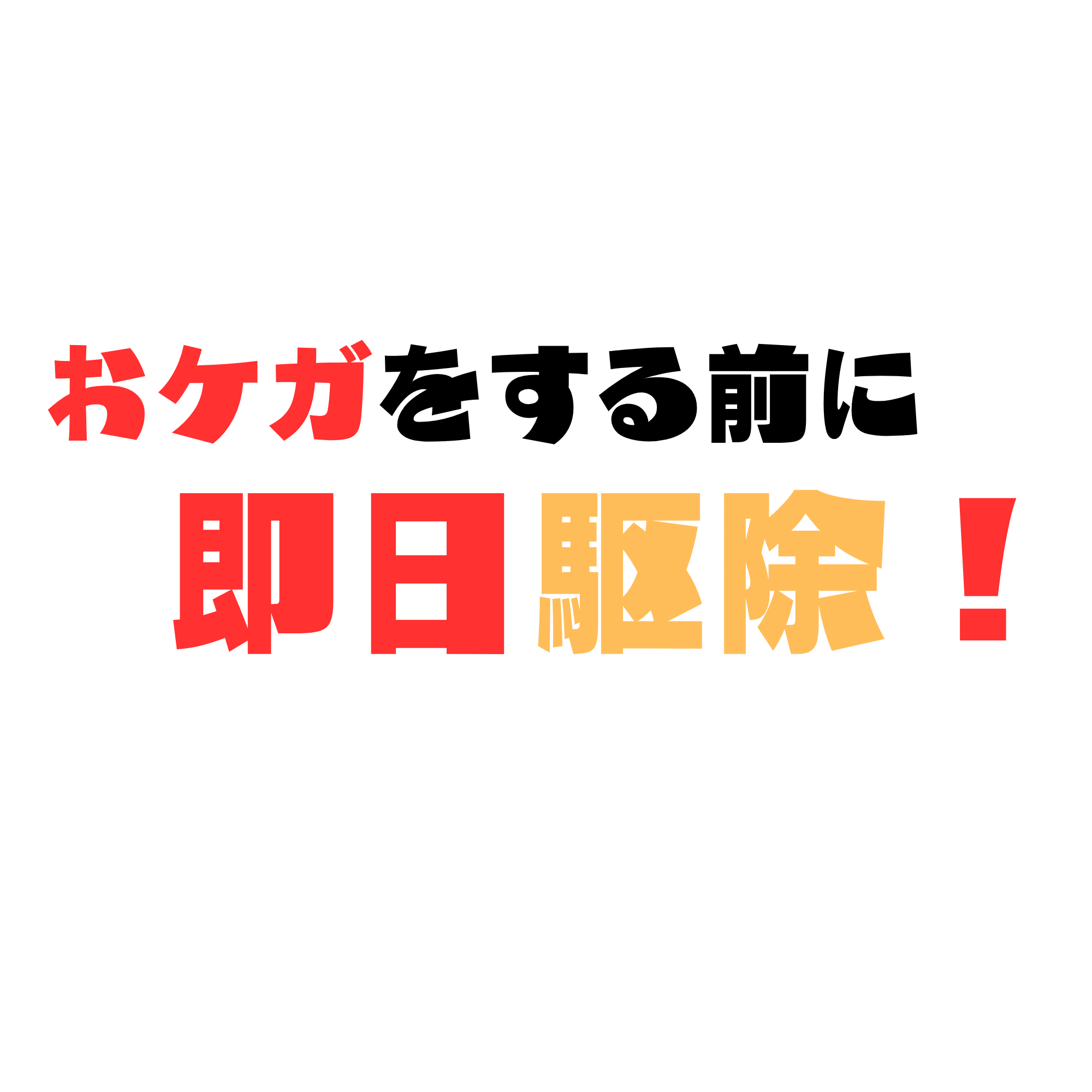 お怪我をされる前に即日駆除！